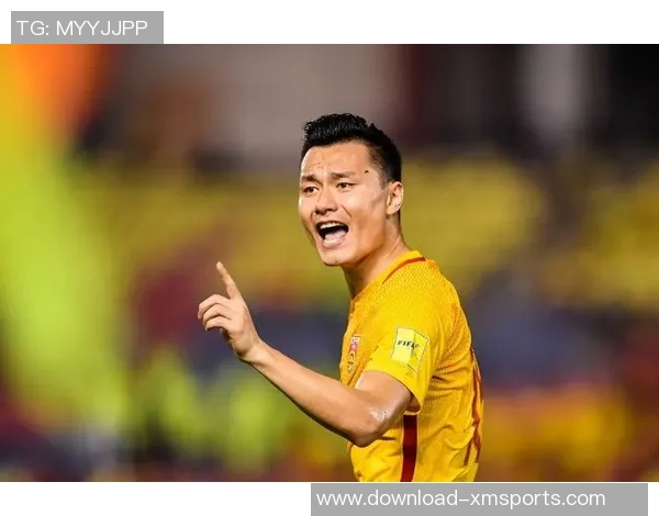 辽宁足球的辉煌与落魄交织背后的故事与未来展望